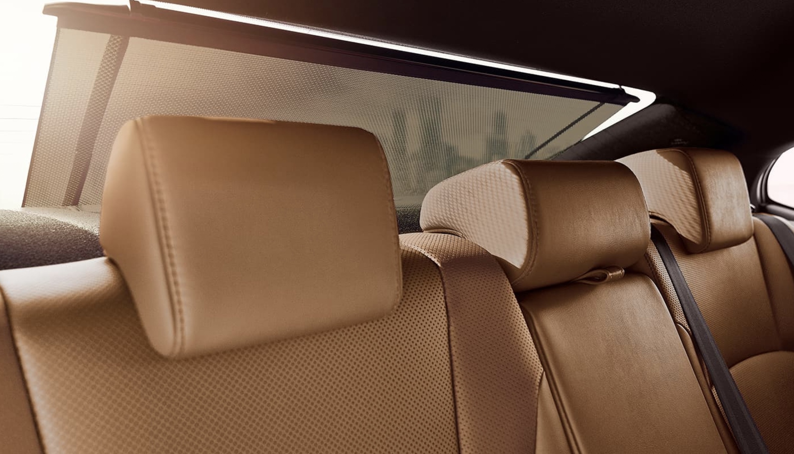 Rear Seats in the 2021 Lexus ES 250