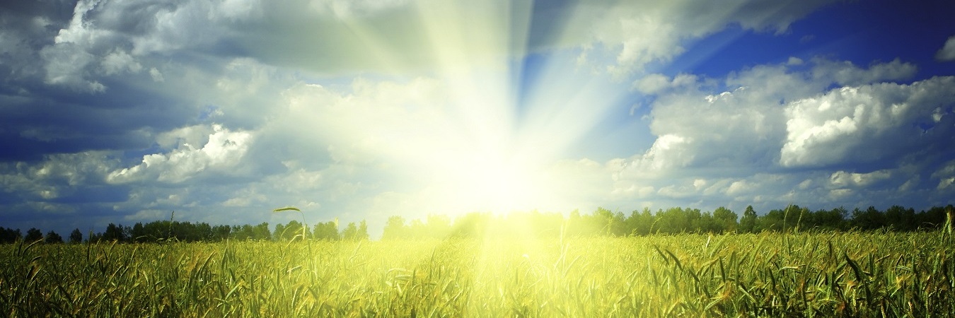 We'll Help You Figure it Out!