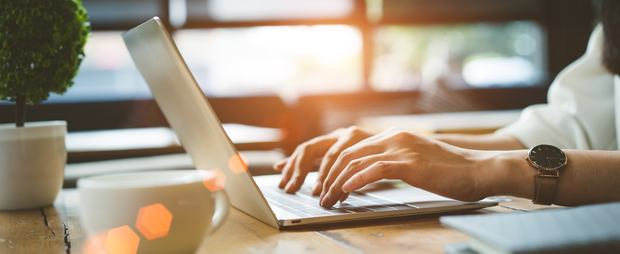 Use Our Online Tools!