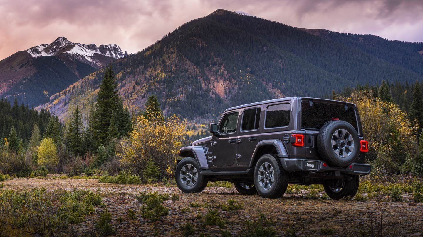 Conquer the Wild in a Jeep!
