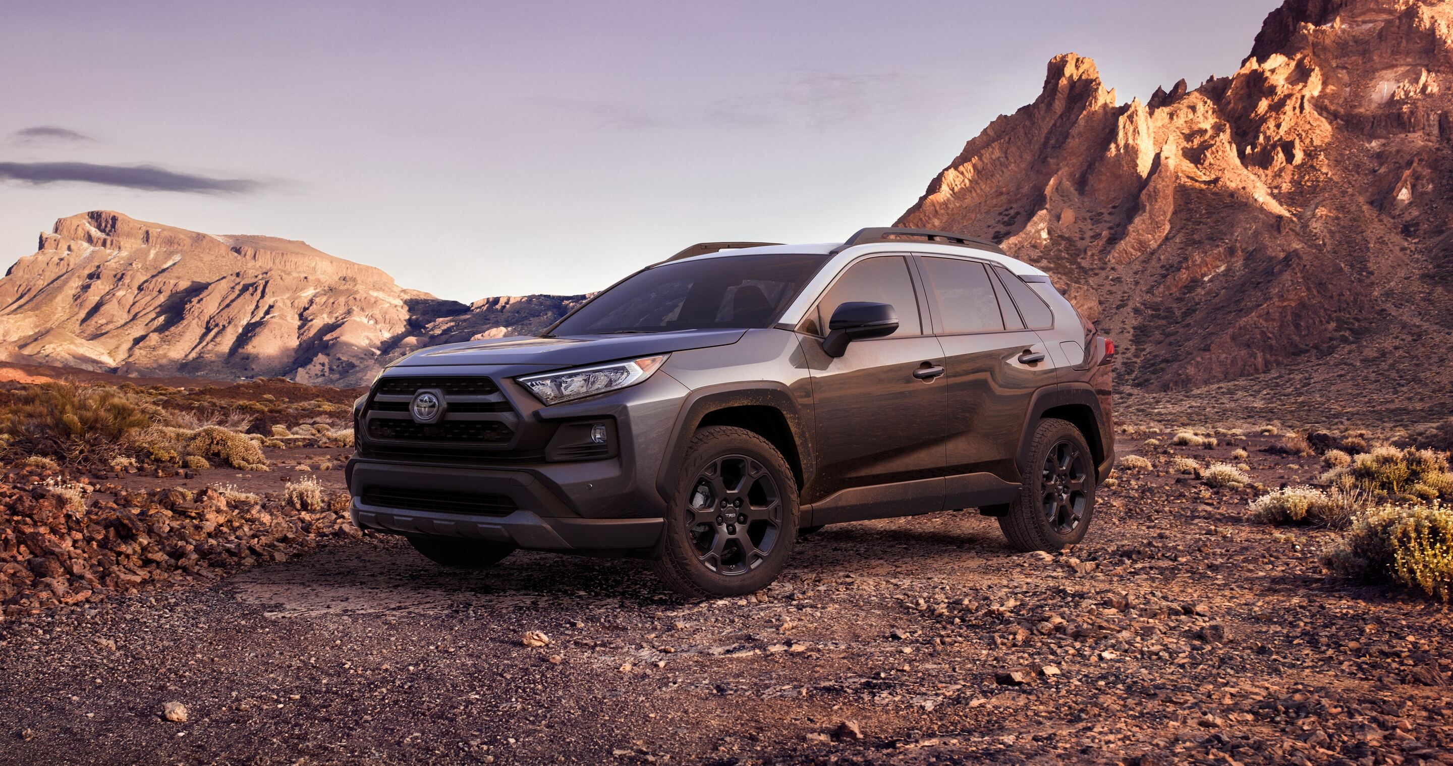 2021 Toyota RAV4 