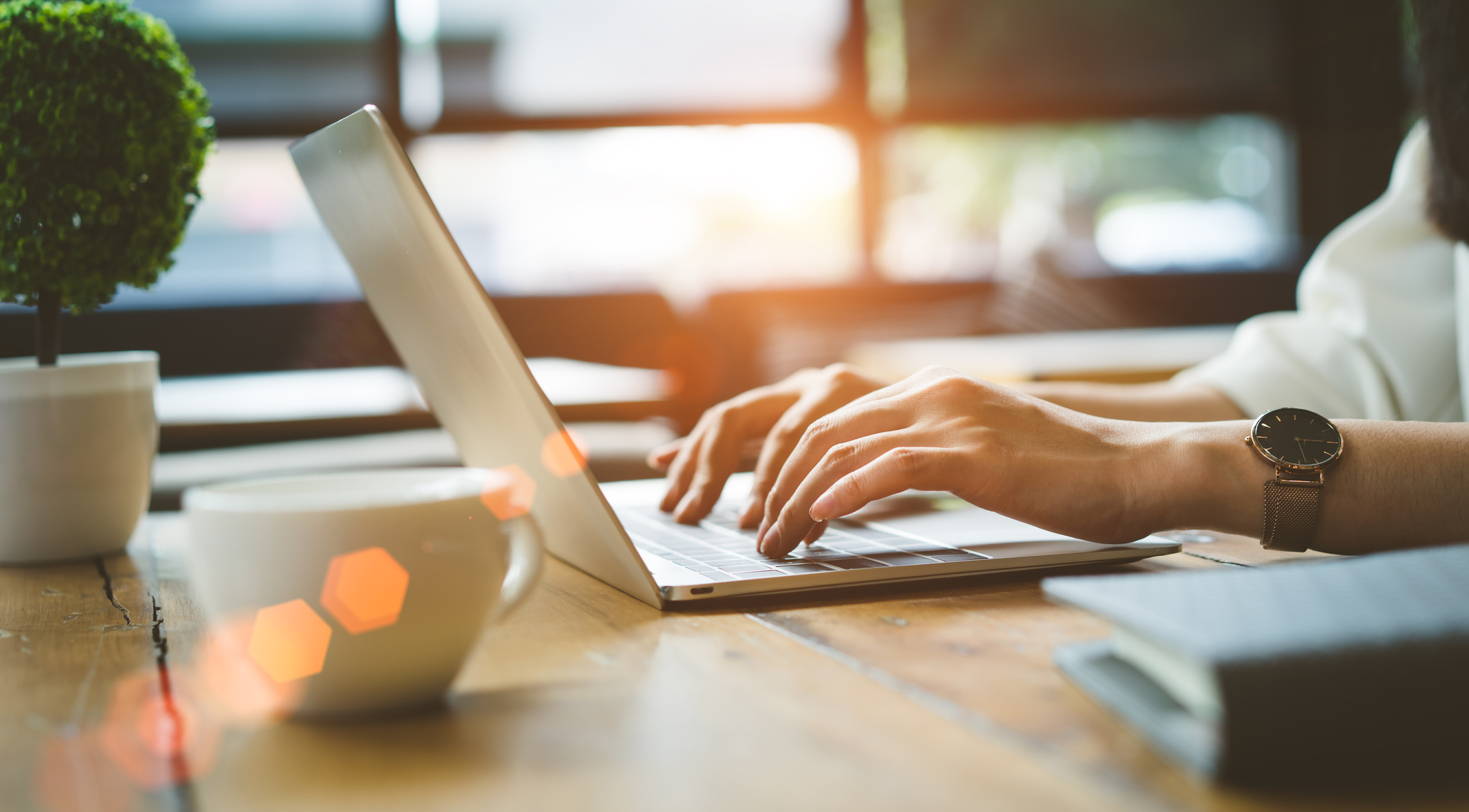 Use Our Online Tools!