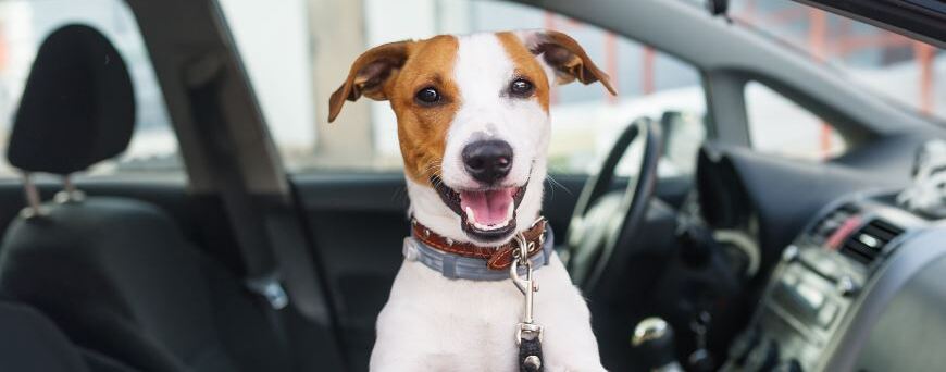 Drive With Peace of Mind