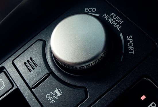 2021 NX 300h Drive Modes