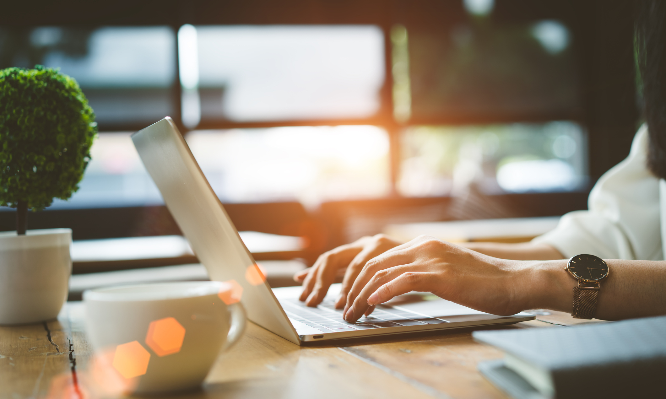 Use Our Online Tools!