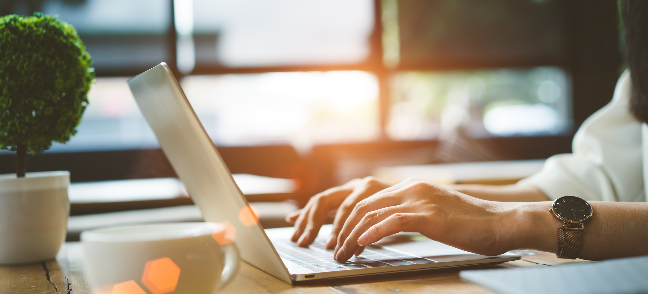 Use Our Online Tools!