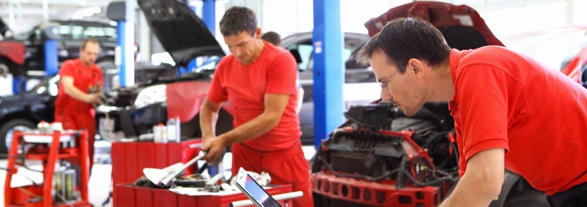 Trust Our Experienced Service Team