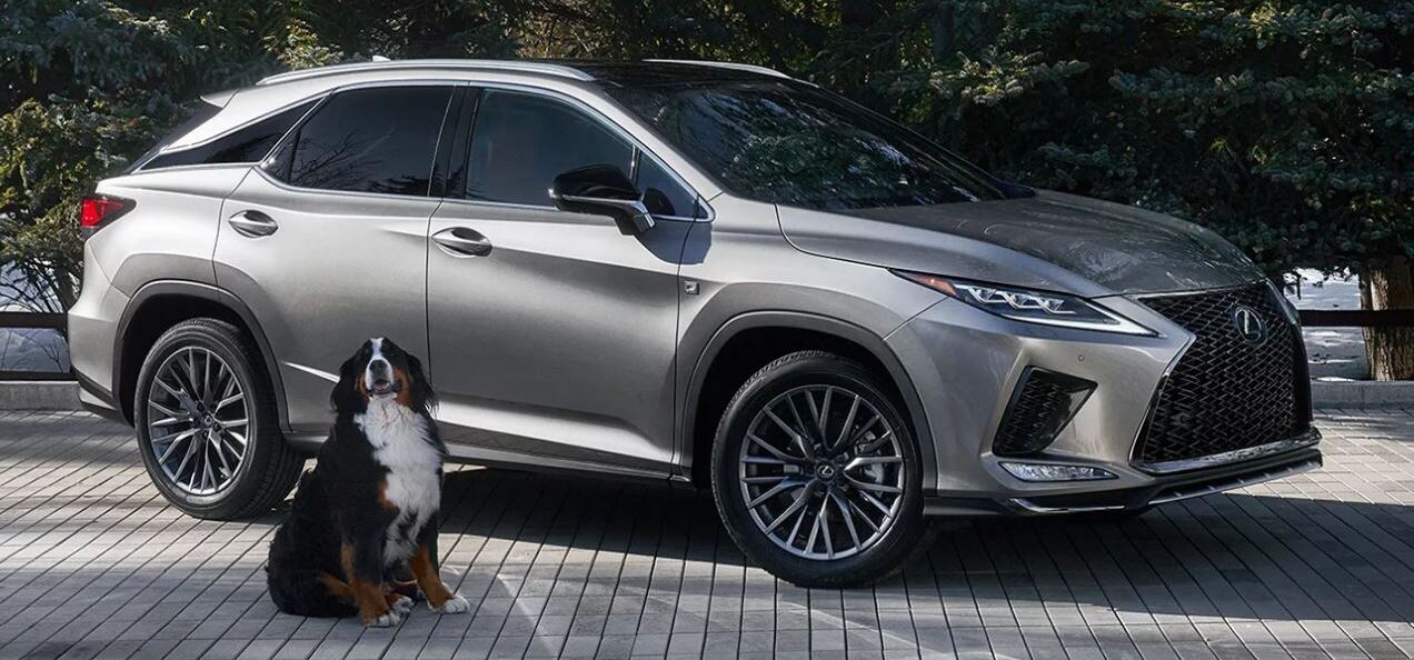 2022 Lexus RX 350 for Sale near Buffalo, NY