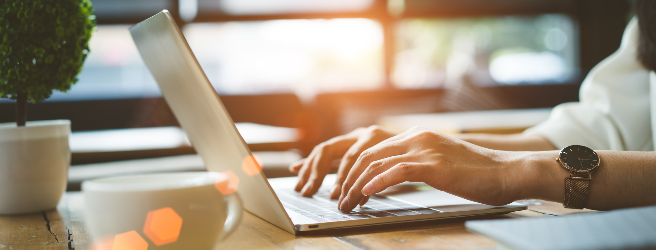 Use Our Online Tools!