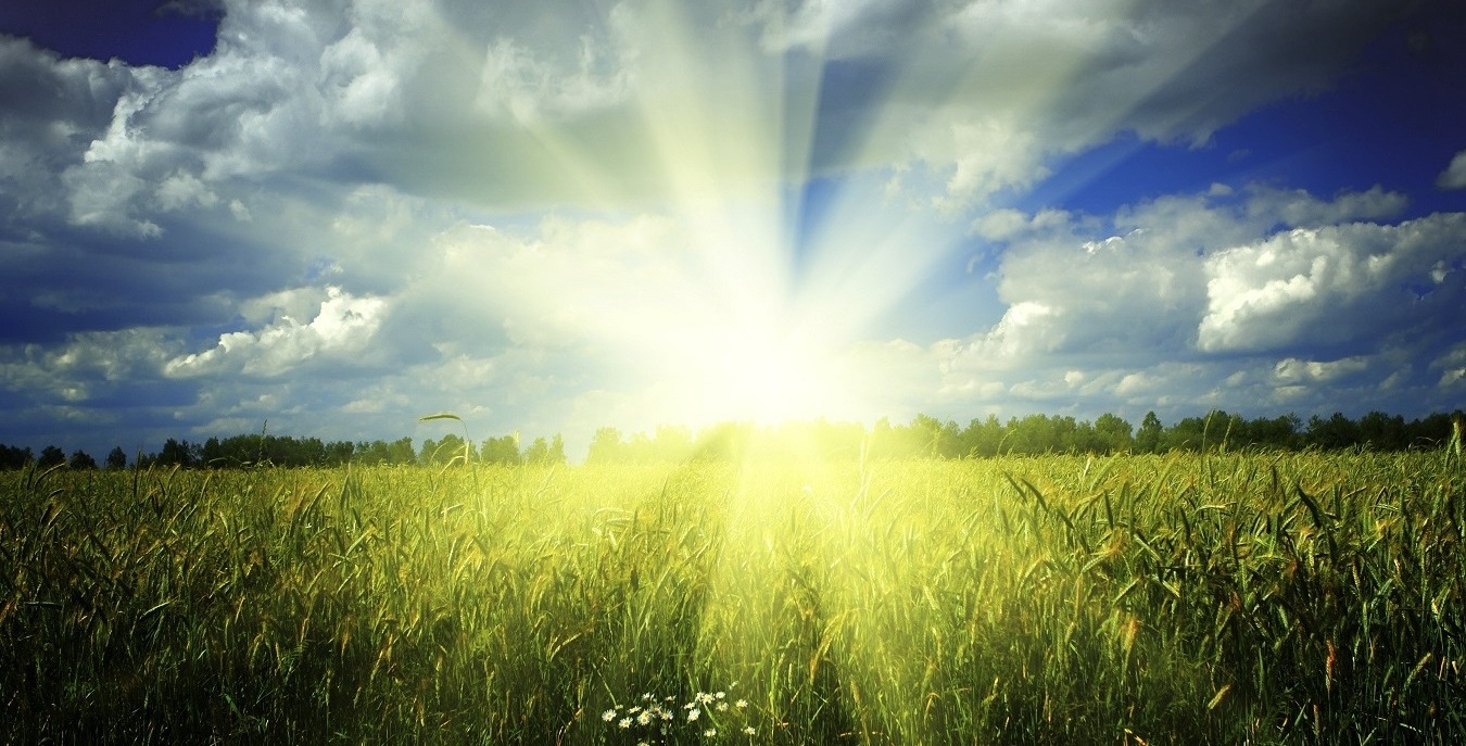 Head Out On Your Next Adventure Today!