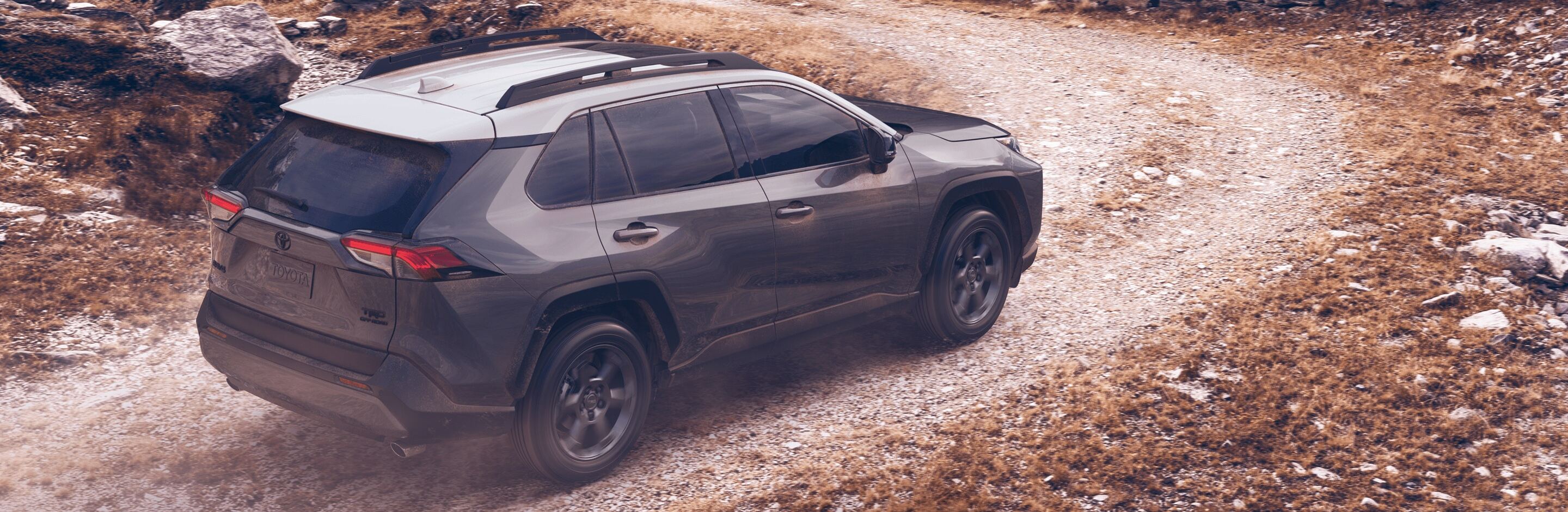 Test Drive the RAV4!