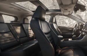 2021 Toyota RAV4 front and back seats