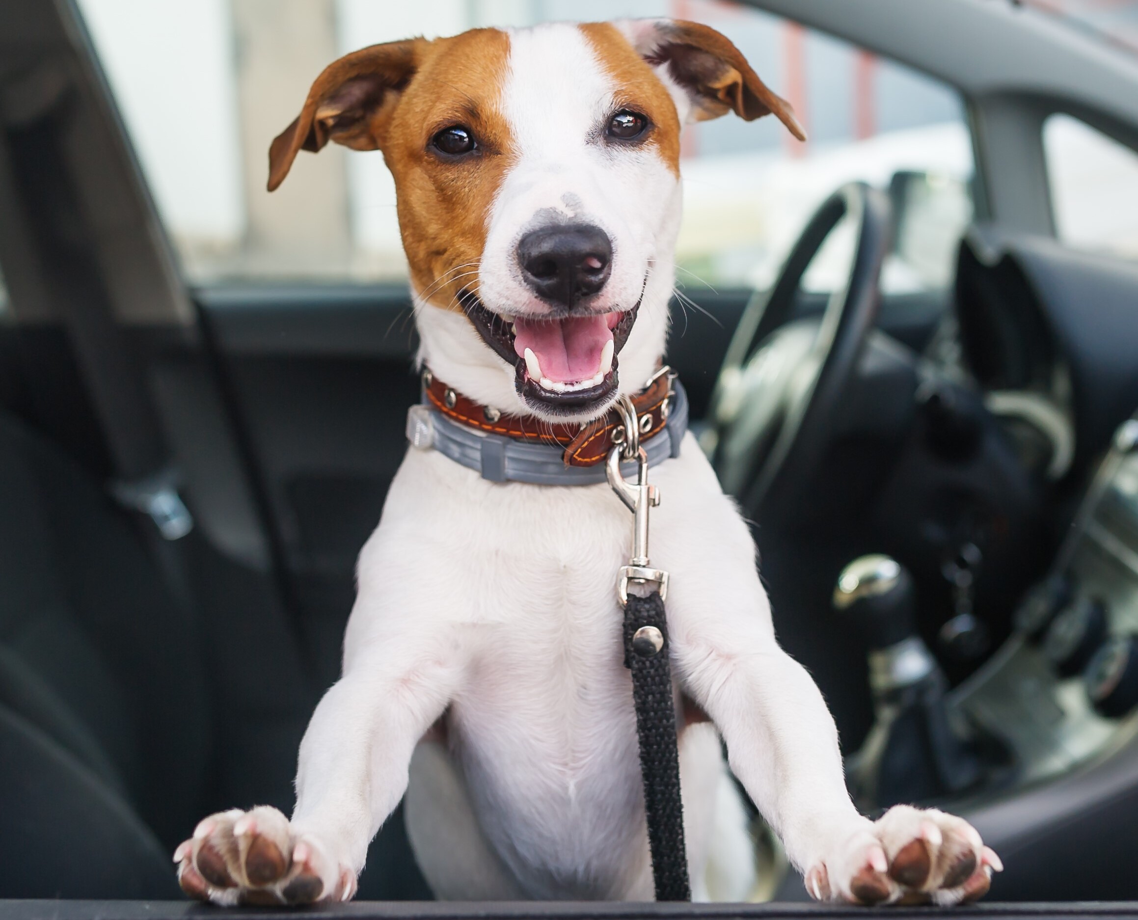 Visit Our Showroom Today!