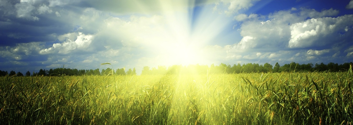 mantenimiento de rutina