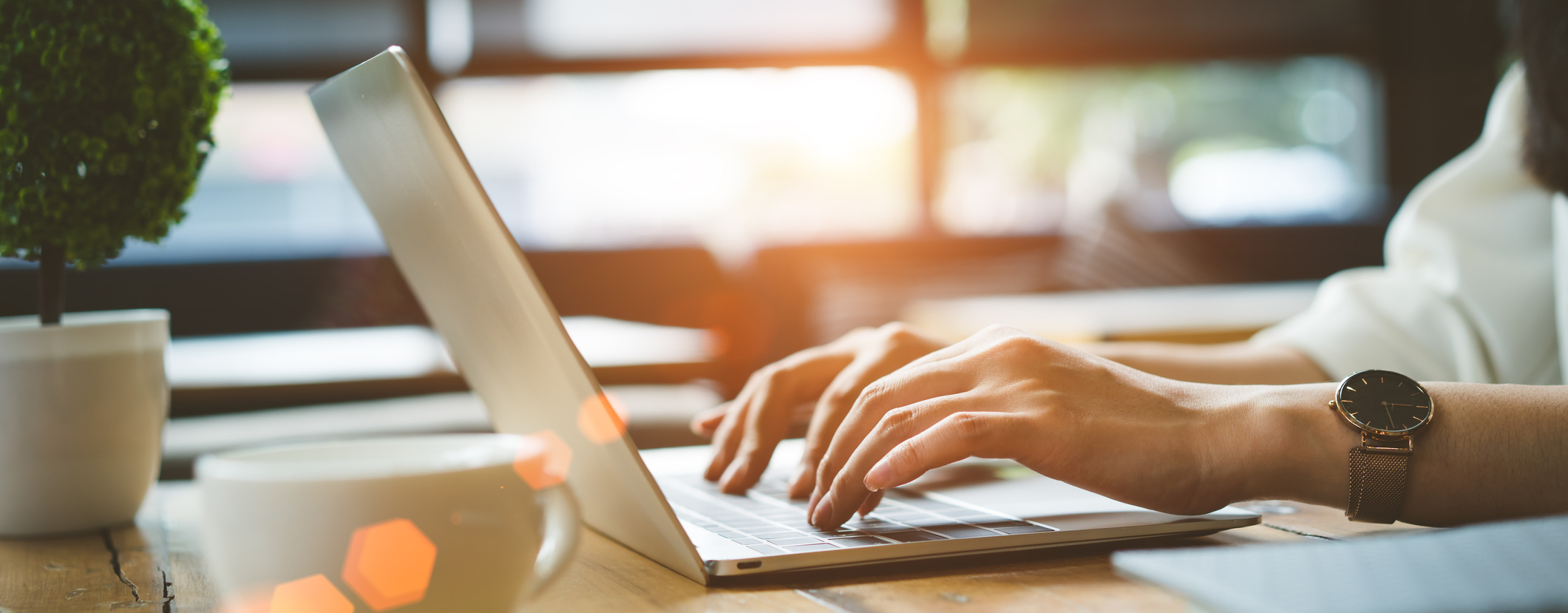 Use Our Online Tools