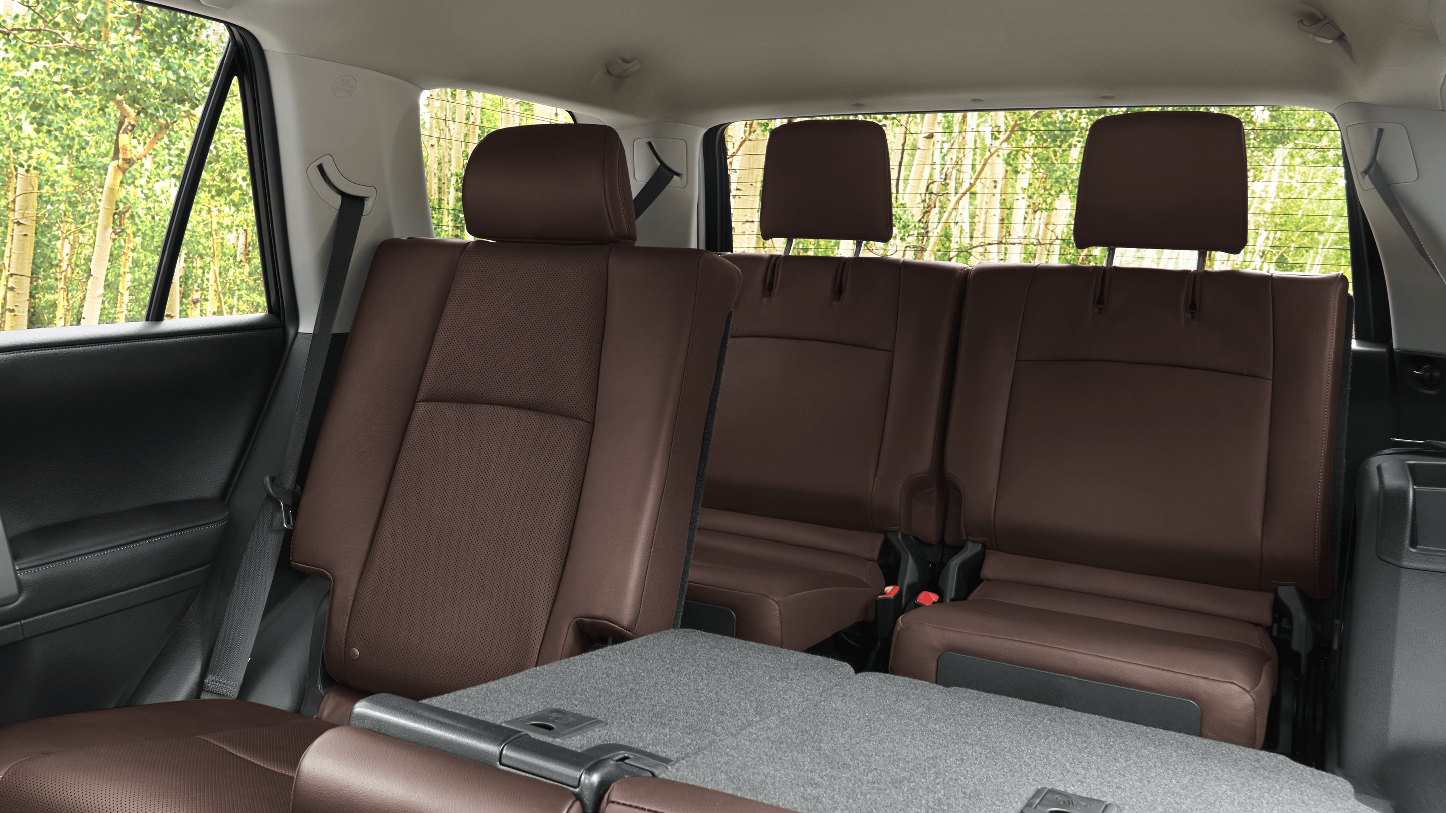 Rear Seats in the 2022 Toyota 4Runner