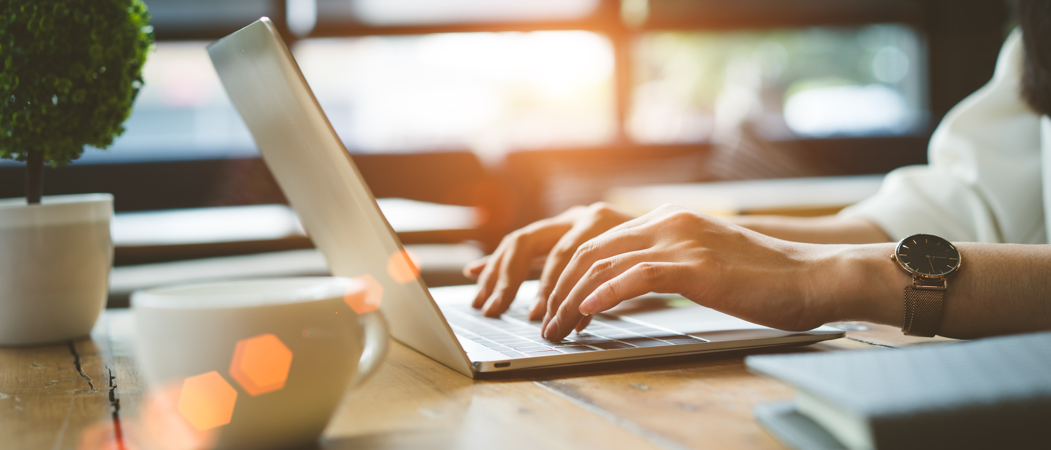 Find Your Corolla Today!