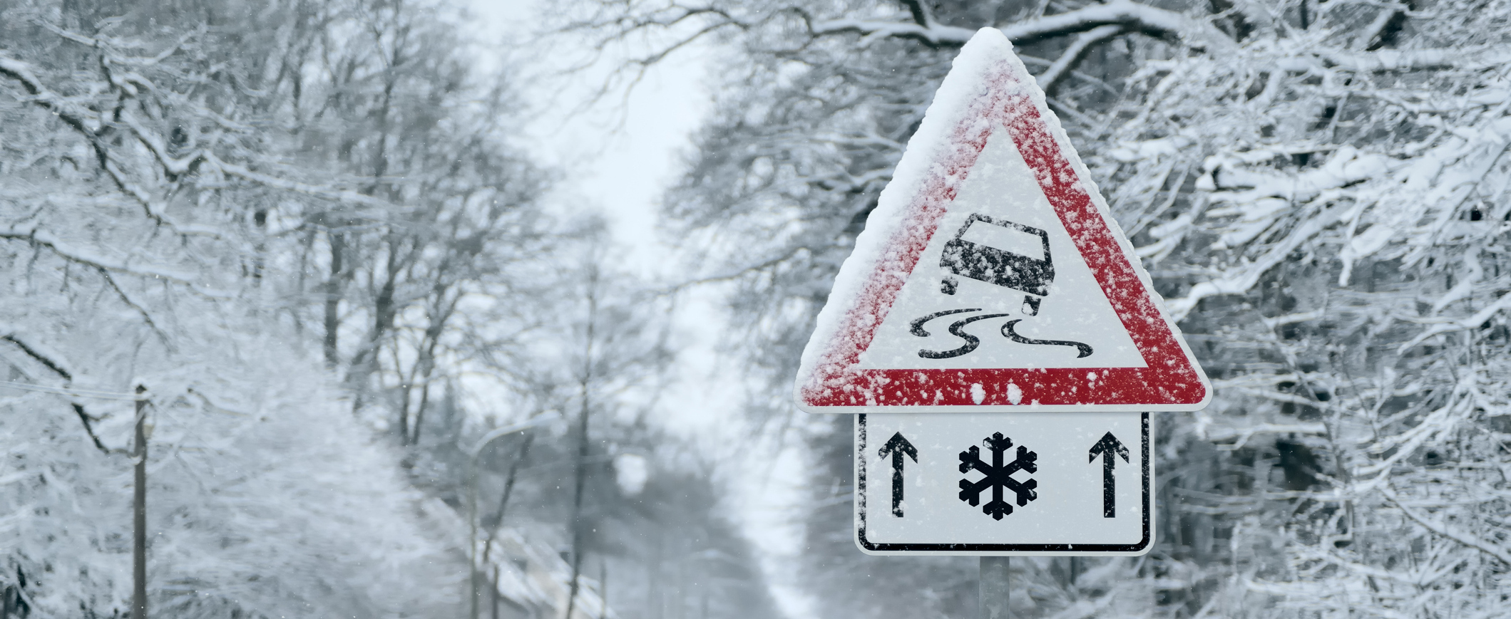 Hit the Road With Peace of Mind