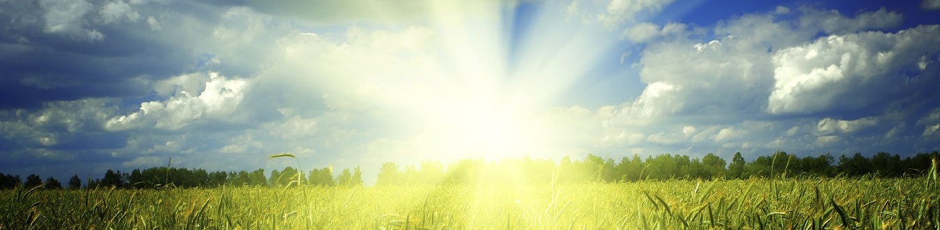 How to Find an EV Charging Station near Manassas, VA