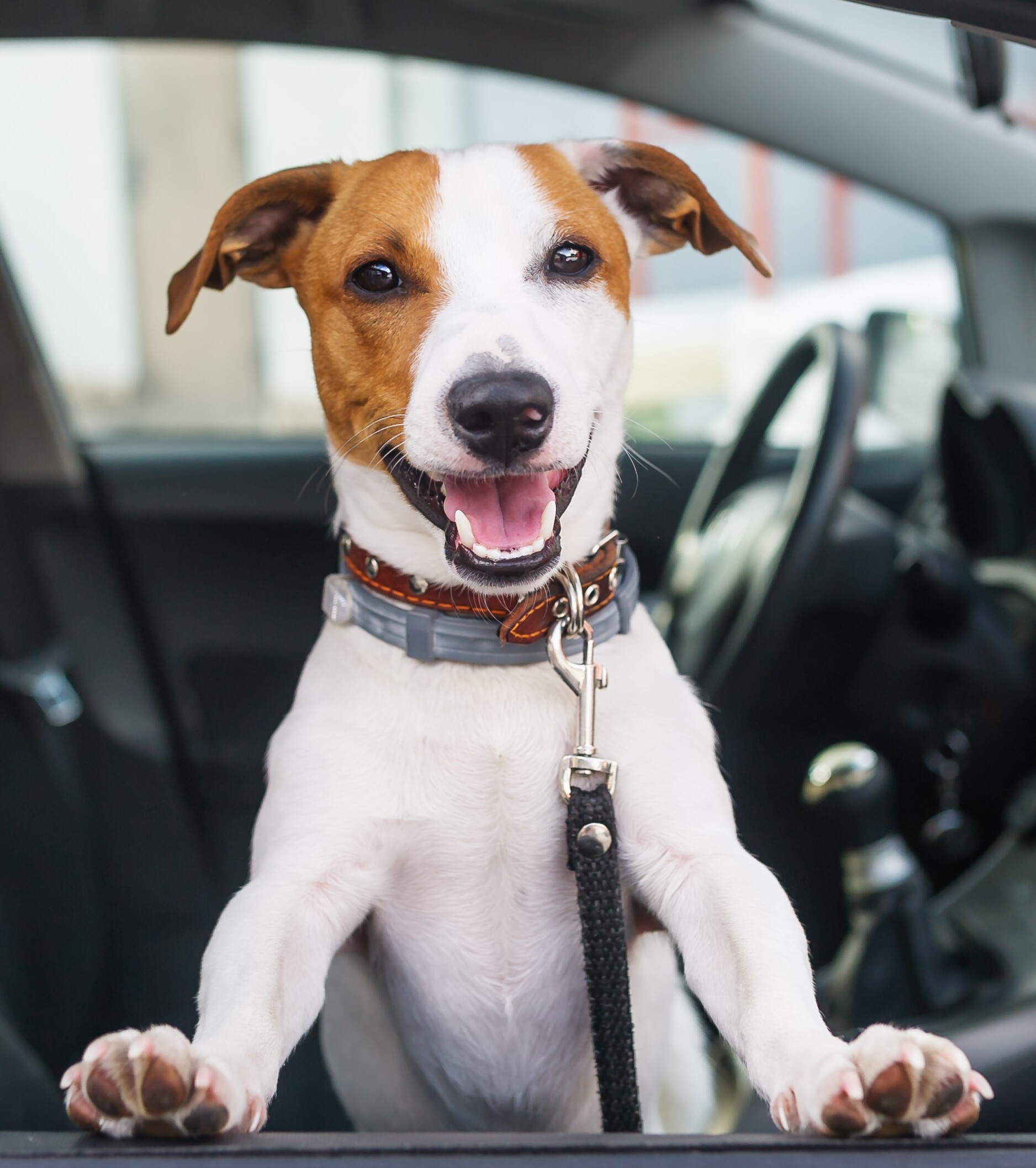 Check Out Our Inventory Today!