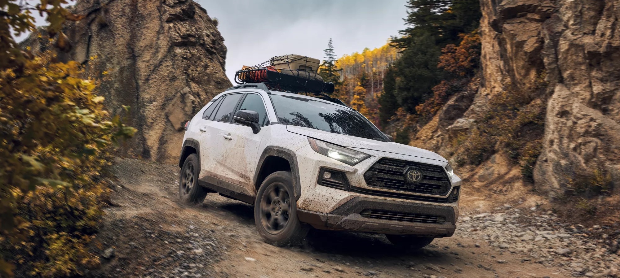 2022 Toyota RAV4 for Sale near Carmichael, CA