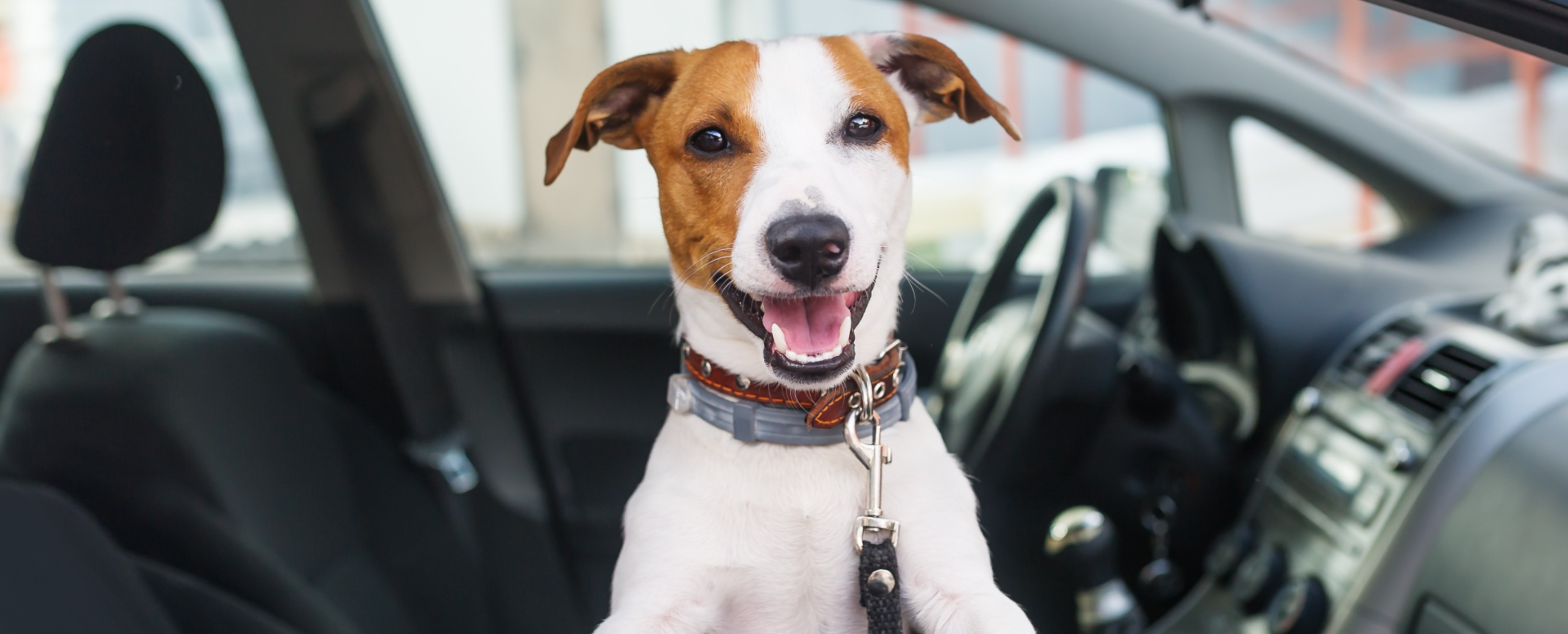 Make Your Kia Ride Friendly Using Kia Accessories! 