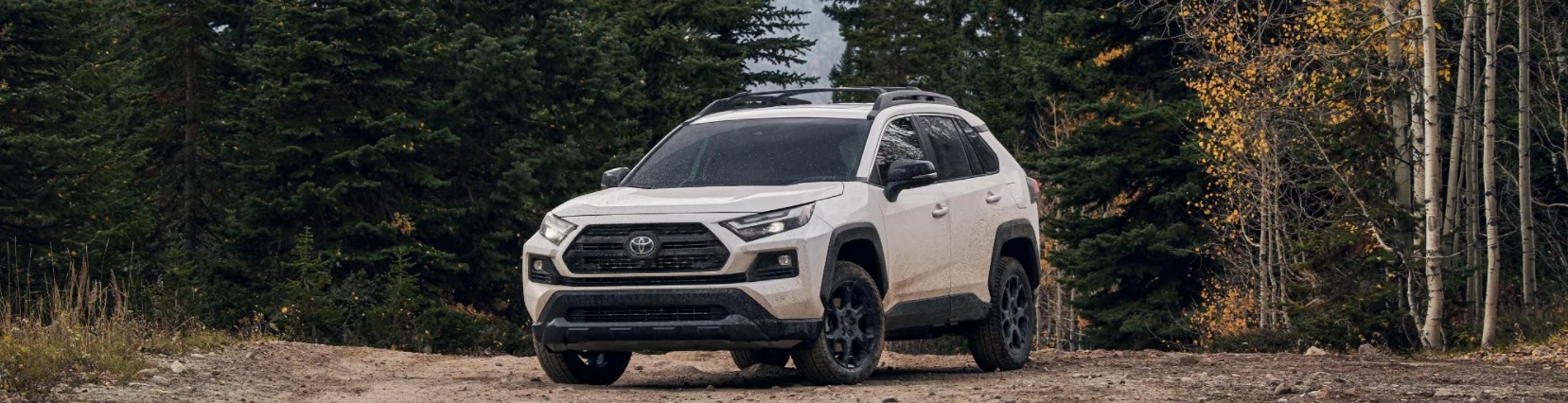 2022 Toyota RAV4 for Sale near Odessa, TX
