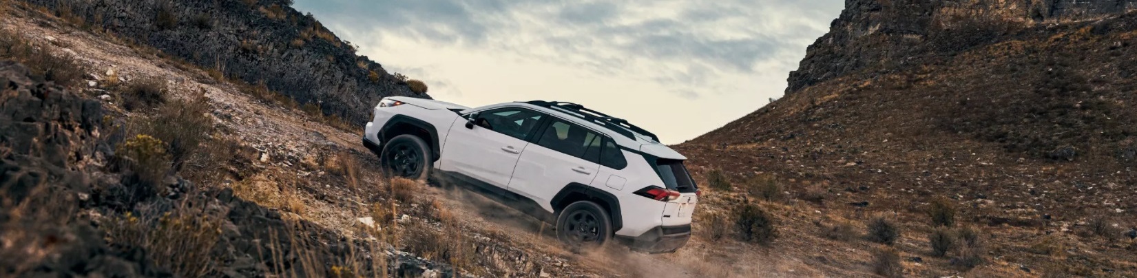 2022 Toyota RAV4 Lease near Odessa, TX