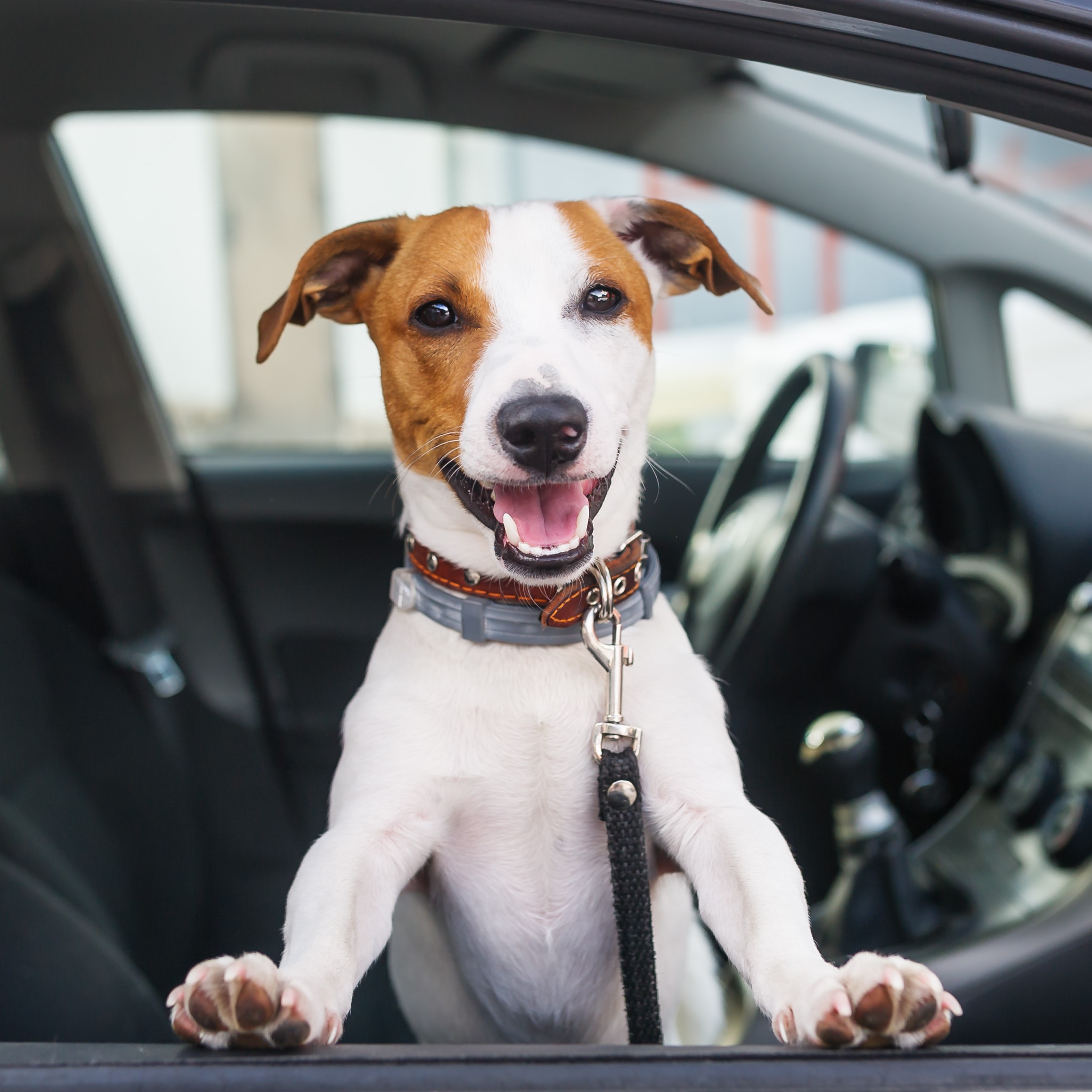 Contact Our Finance Team Today!