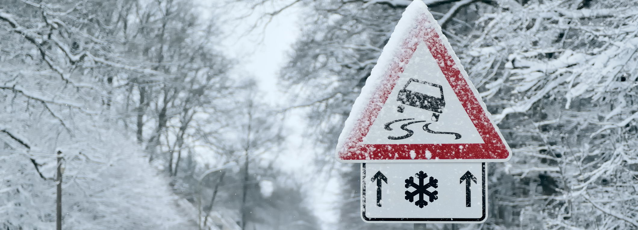 Hit the Road with Peace of Mind!