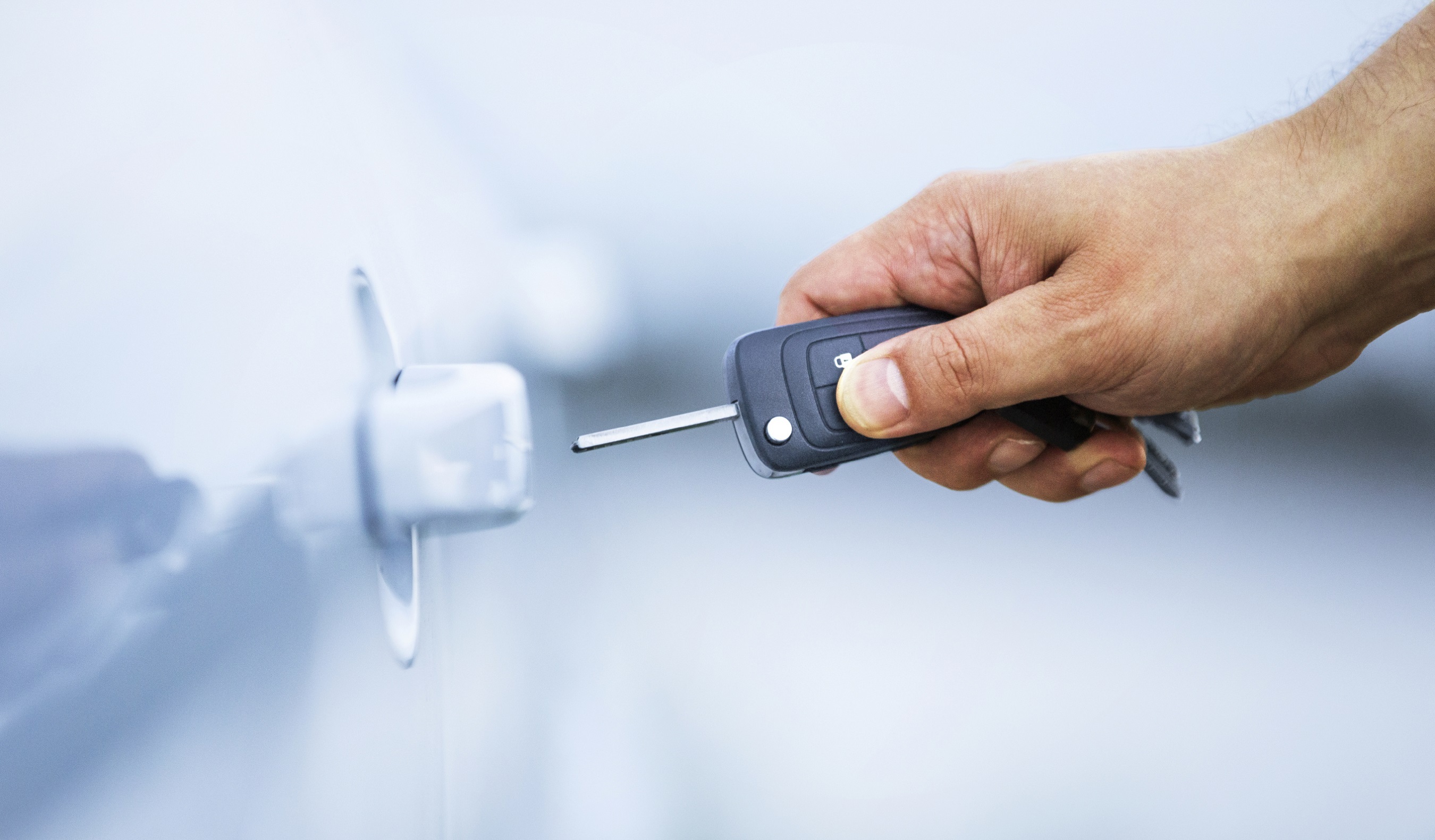 View Our Online Inventory!