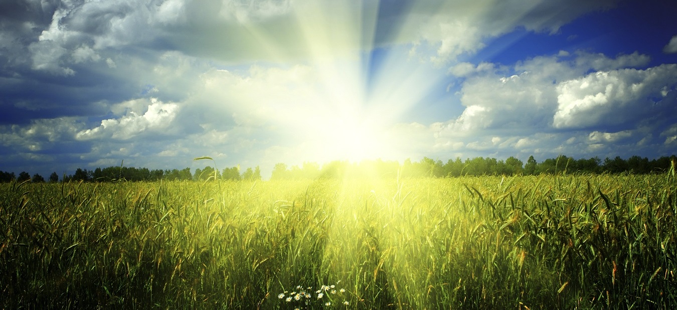 Prepare Your Vehicle for Summer near Long Island, NY