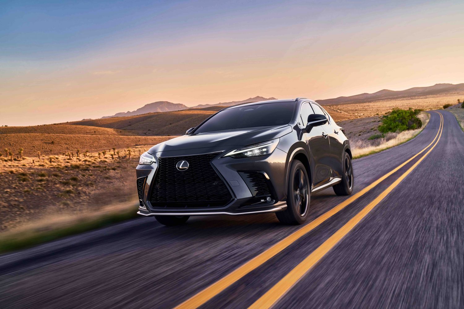 2022 Lexus NX 350 for Sale near Columbia, MD