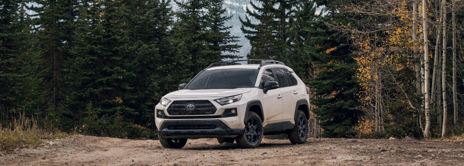 2022 Toyota RAV4 for Sale near Rockford, IL