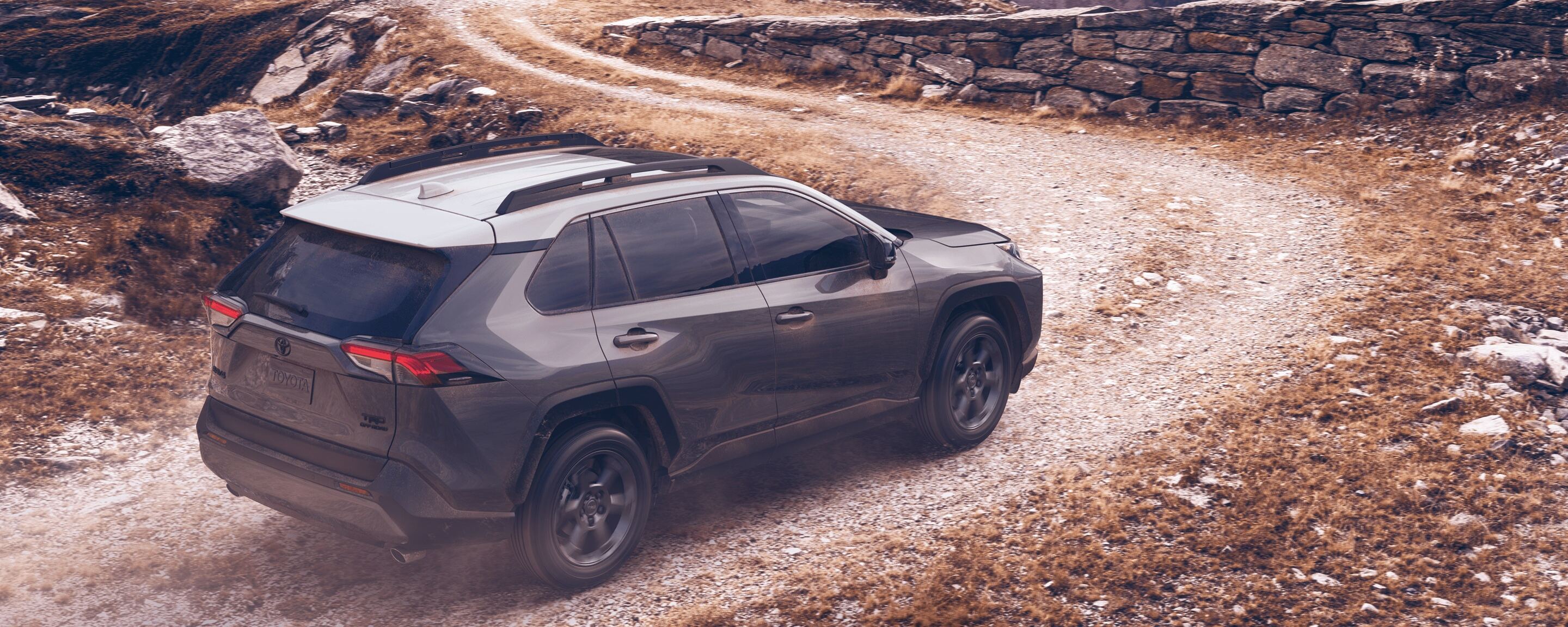 One-Owner Used Toyota RAV4 for Sale near Oak Brook, IL