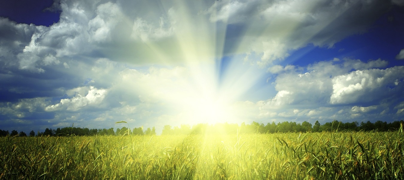 Spring Maintenance for Your Lexus near Woodbury, NY