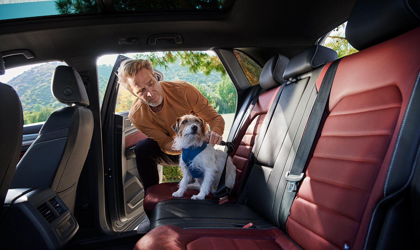 2022 Volkswagen Atlas Cross Sport Back Seat