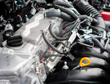 Visit Our Service Bay!