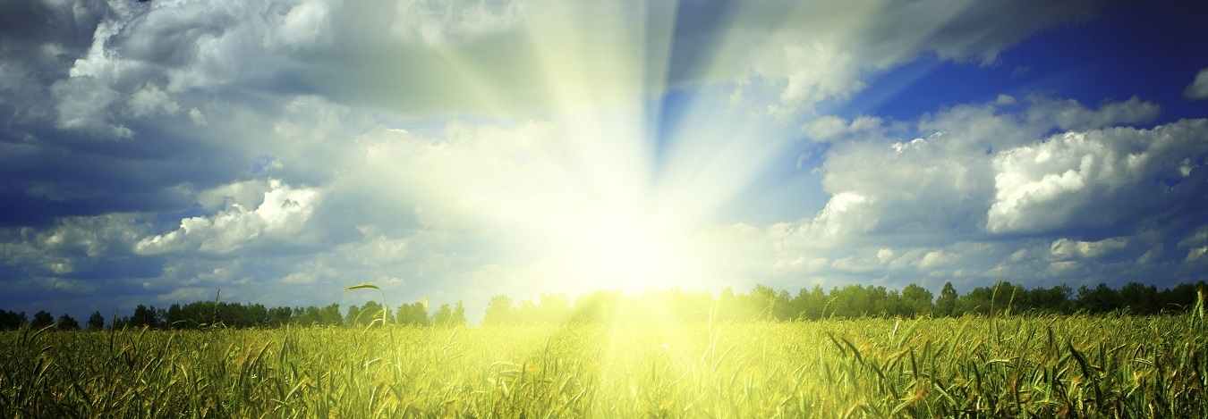 Prepare Your Lexus for Spring Travel near Alexandria, VA