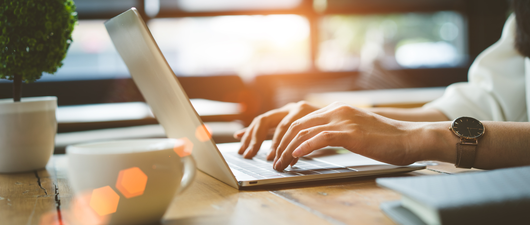 Schedule an Appointment Today!