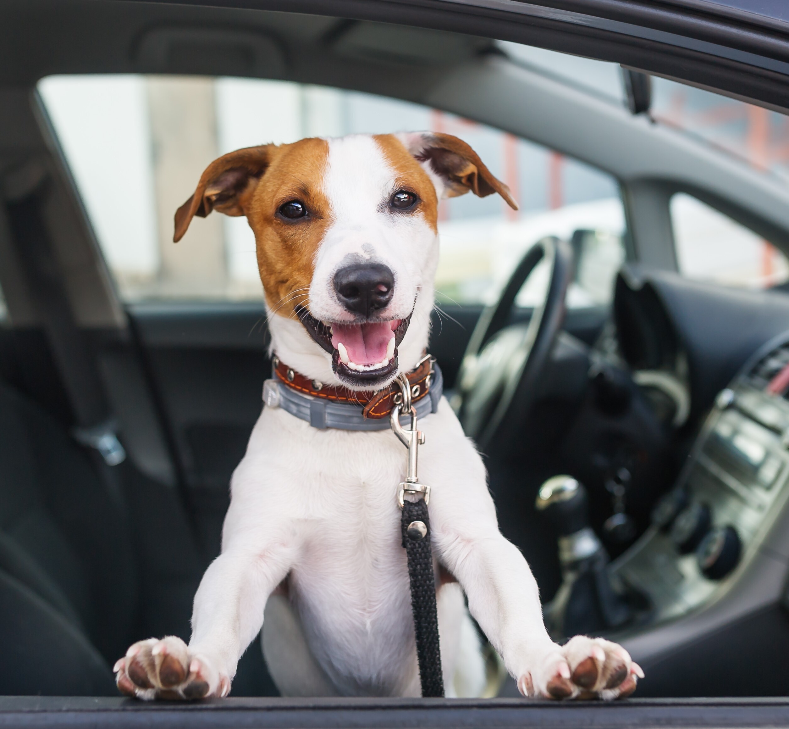 Count On Us For Great Service Too!