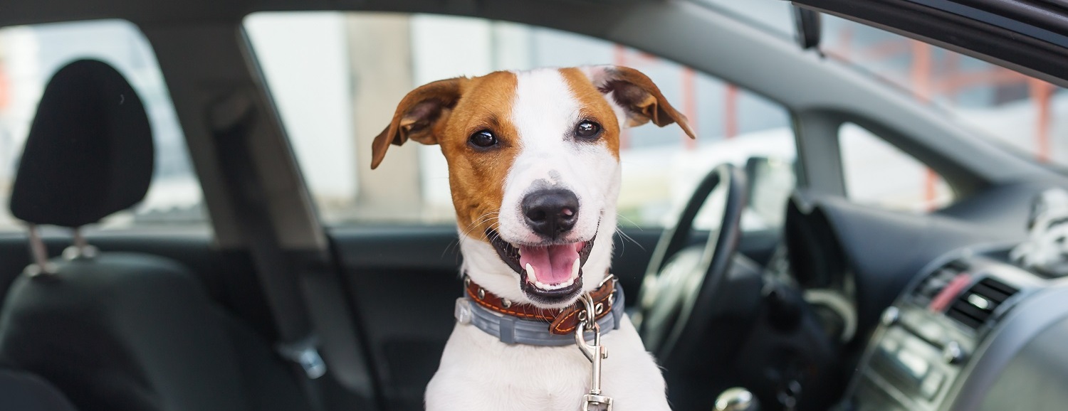 Buy Your First Used Vehicle!