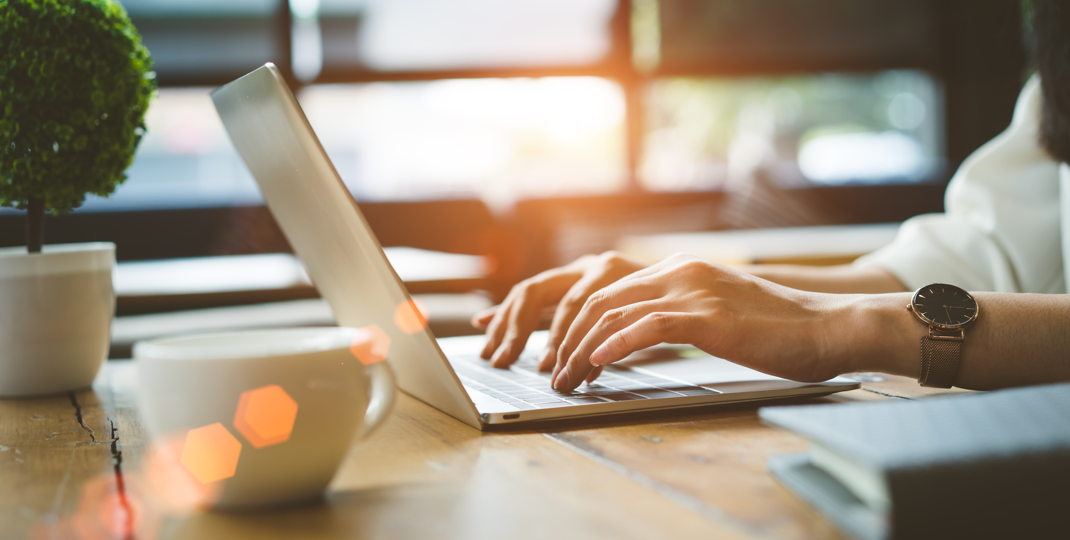 Visit Our Online Inventory Today!