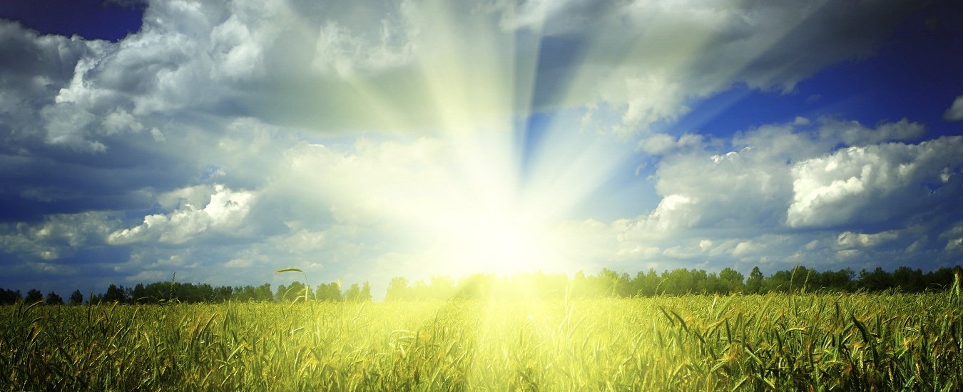 Spring Maintenance near Long Island, NY