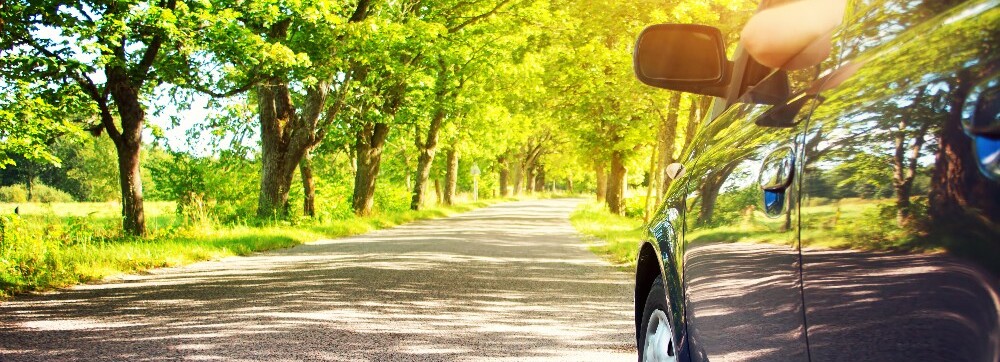 Spring Maintenance for Your Honda near Conroe, TX