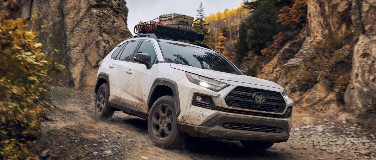 2022 Toyota RAV4 for Sale near Webster Groves, MO