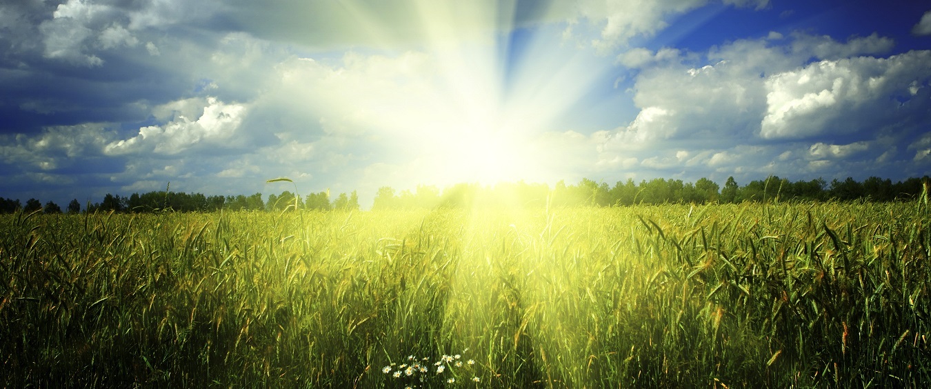 Prepare Your Vehicle for Summer Travel near San Marcos, TX