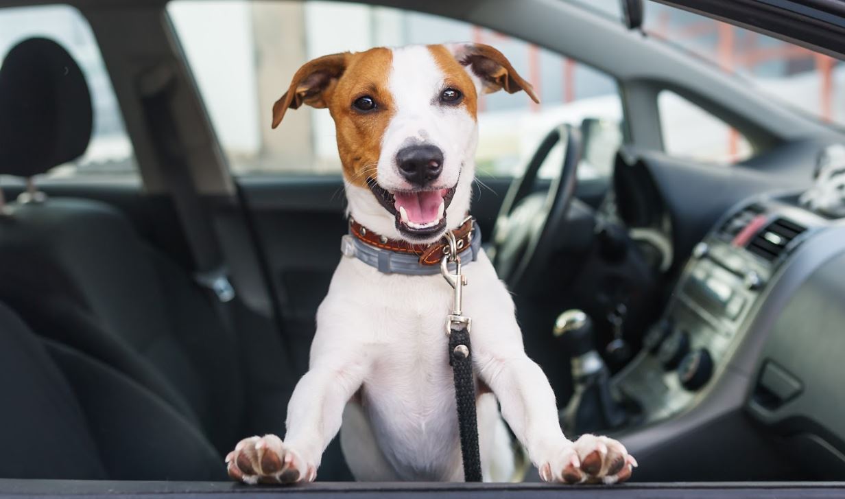 Drive Your Used Car With Peace of Mind!