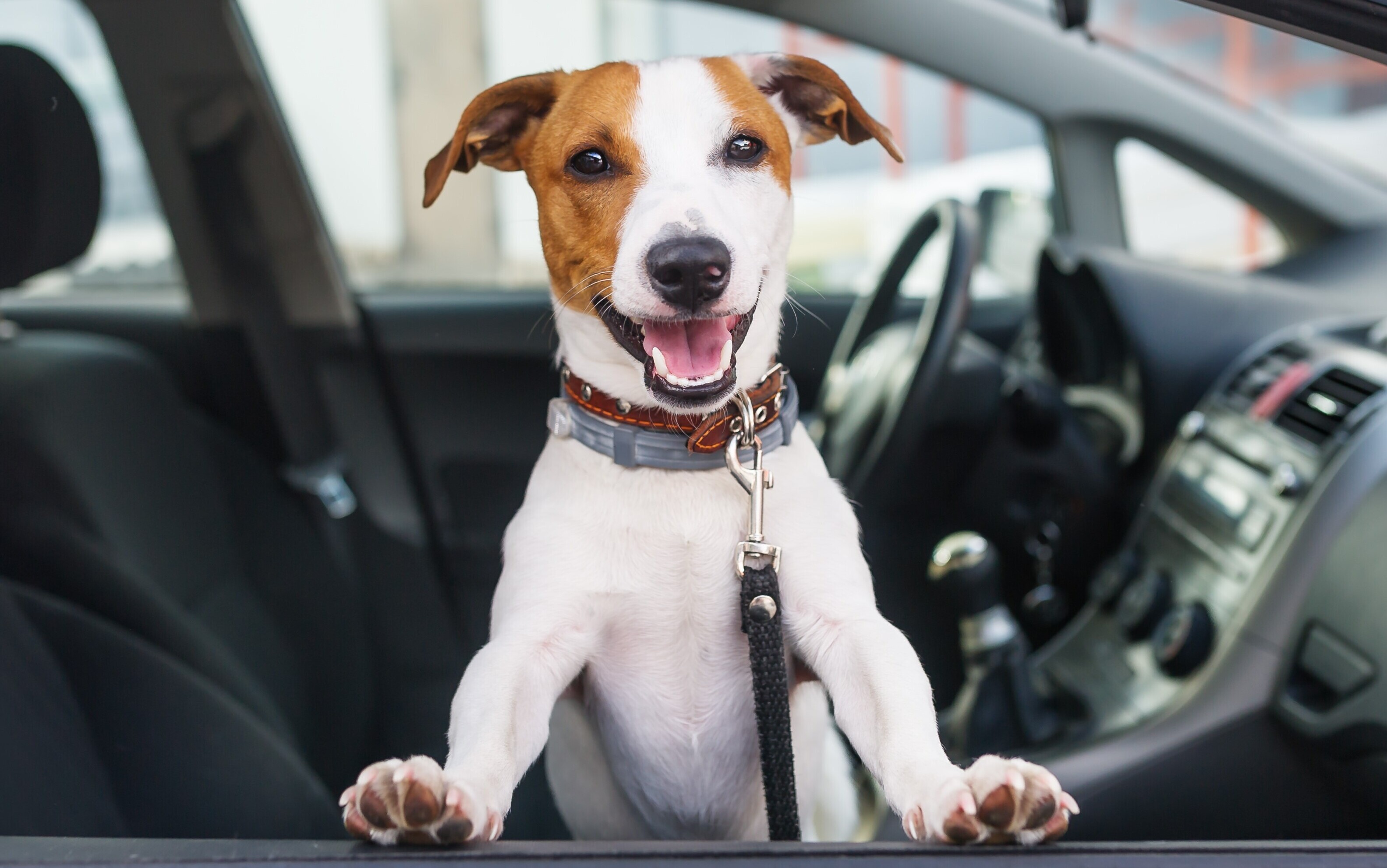 Chat With Our Friendly Team Today!