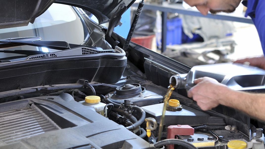 Which Oil Will You Choose?